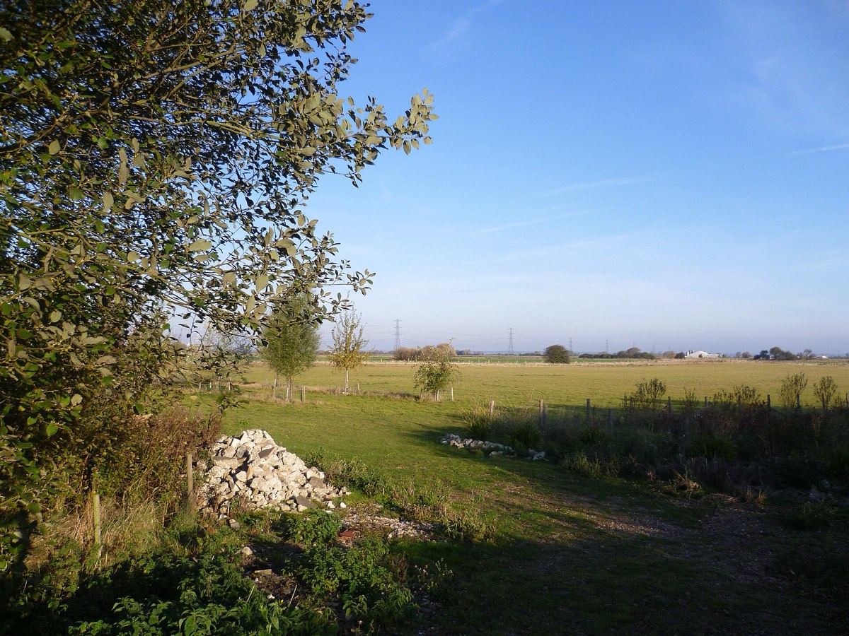 Fields on Romney Marsh seen from the A259 near Old Romney